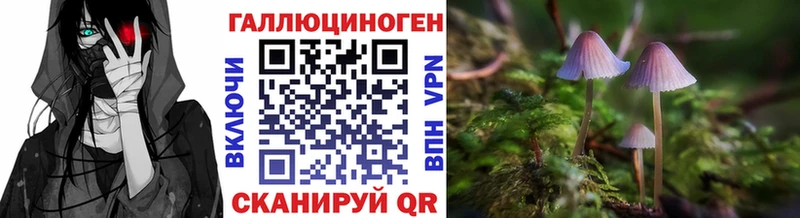 Псилоцибиновые грибы Psilocybine cubensis  Севск 