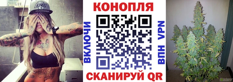 Бошки марихуана марихуана  закладка  Севск 